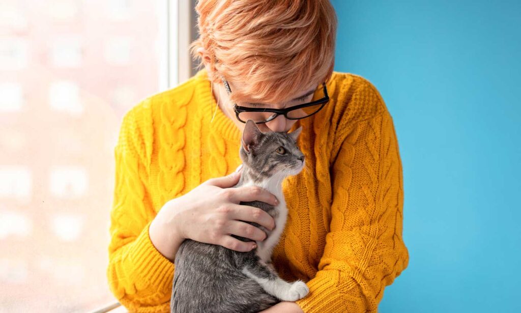 Bringing Home a Cat From a Shelter or Rescue? Here’s Everything You ...